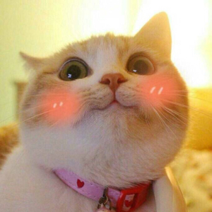 酒窝妮儿