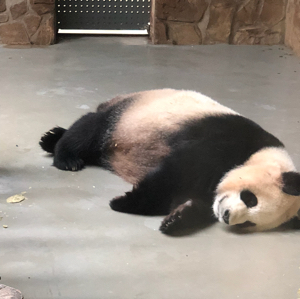 知识就是质量
